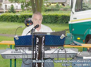 Musiker Peter spielt live beim Weinfest