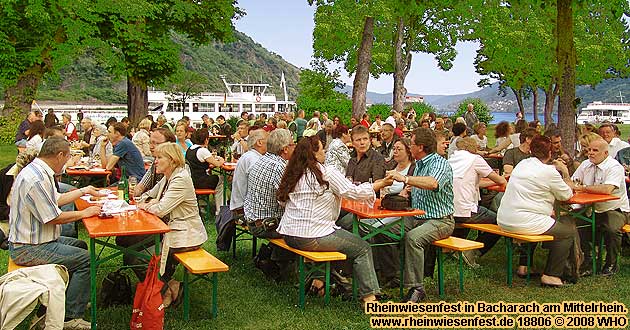 Weinfest-Sommernacht in den Rheinwiesen von Bacharach am Rhein