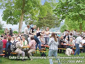 Weinfest-Sommernacht und Rheinwiesenfest am Rheinufer bei Bacharach